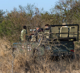 safari fotografico, photographic safari PN Kruger, Kruger NP