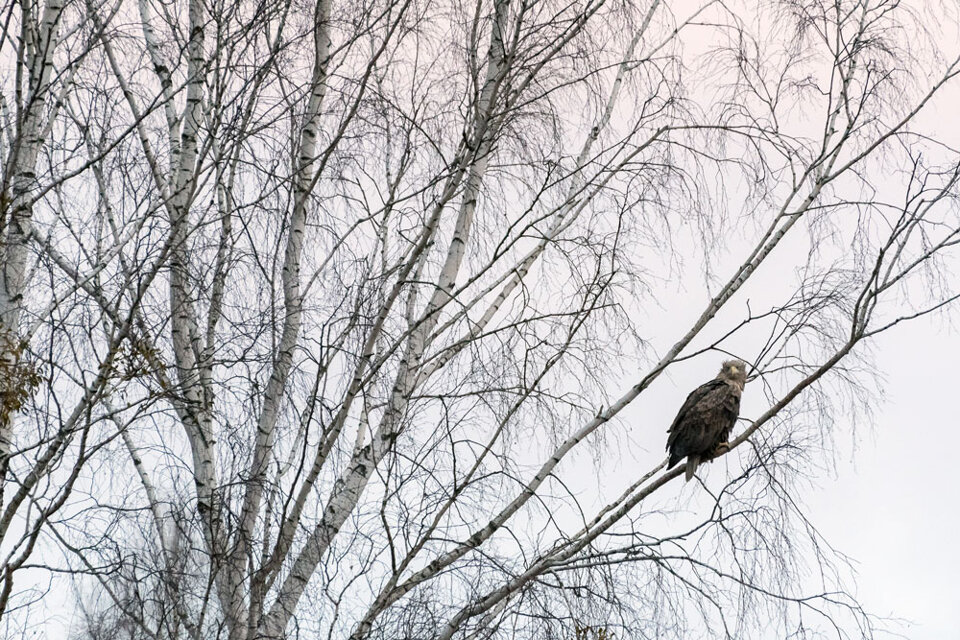 7d014837-3ade-4cee-b683-bf271625fe12