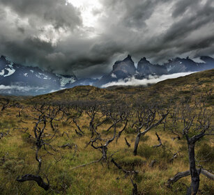paesaggio PN Torres del Paine, Cile