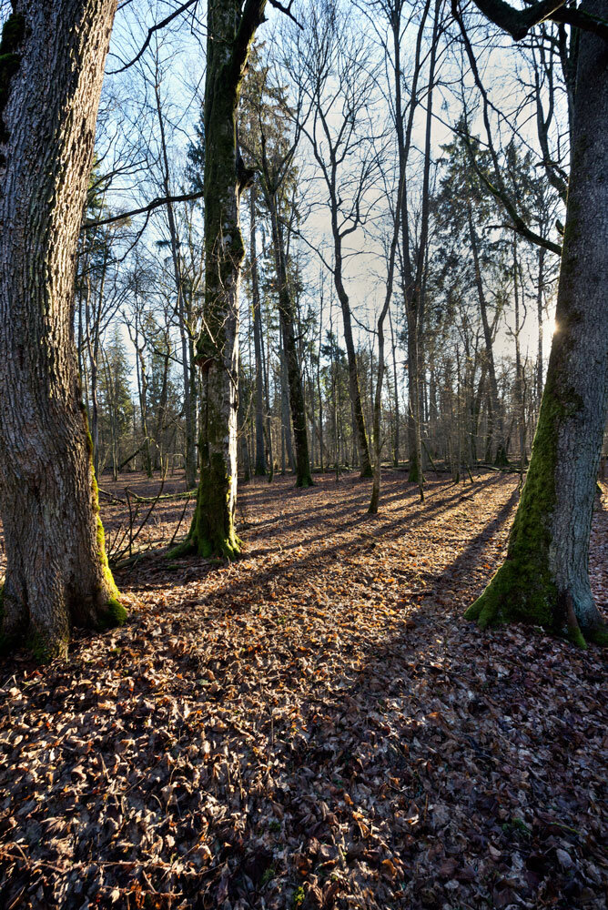 96760217-c39a-4f7e-b34b-4f418a54b586