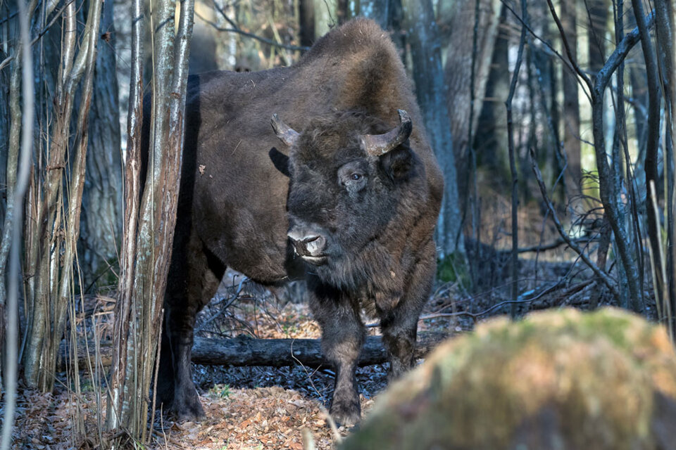 10737122-6e44-4993-bd71-ed4afa08714c