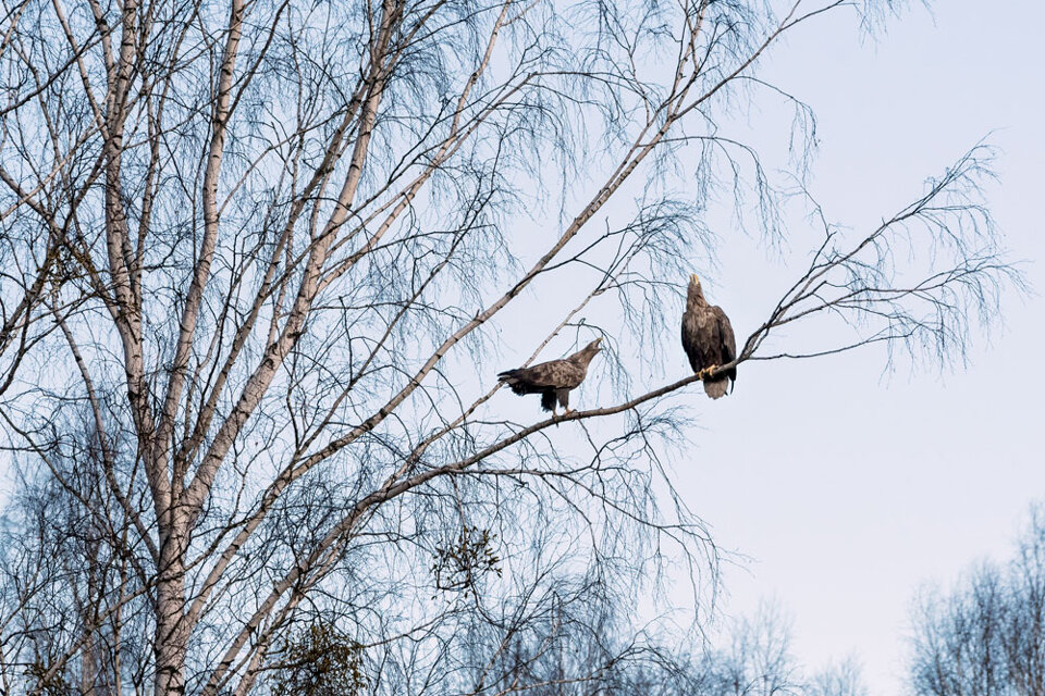 41ef153e-7f2a-46e2-94fc-ac2f5906256c