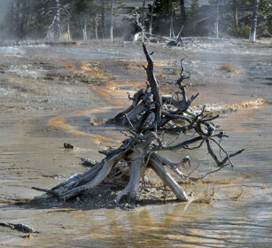 zona dei geyser, geysers zone PN di Yellowstone, Yellowstone NP