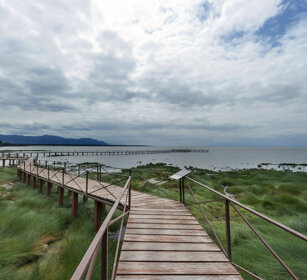 passerella, gangway lago Manyara, lake Manyara