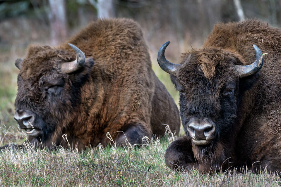 2d9fcbad-deac-4c3d-a649-c36d4e575710