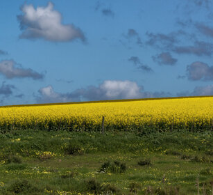 paesaggio, landscape