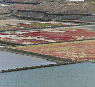 saline, saltworks Fuerteventura