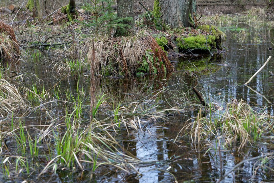 60af26b2-6edb-433e-b56c-a82488460d28