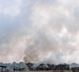 savana in fiamme, burning savannah parco nazionale del Serengeti, Serengeti NP