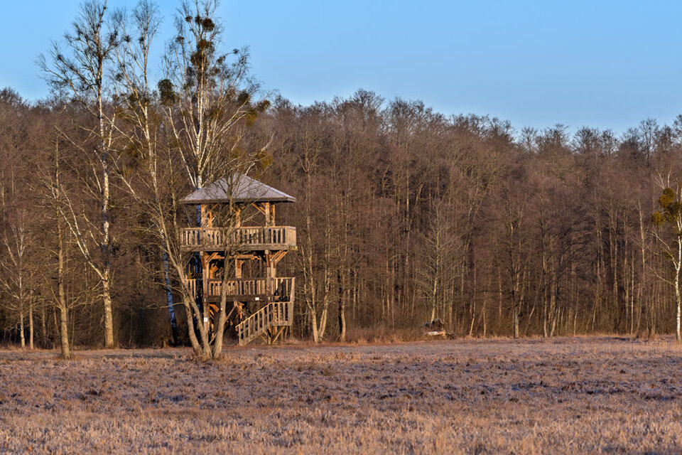 b756c01d-161a-4692-a6e9-e7dc60cfcf08