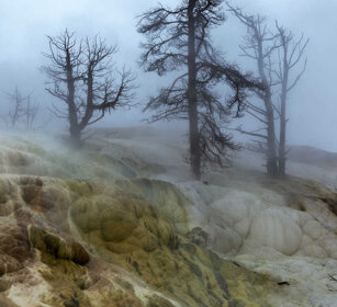 paesaggio, landscape Mammoth Hot spring, PN di Yellowstone, Yellowstone NP