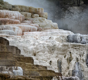 depositi calcarei, calcareous sediments Mammoth Hot spring, PN di Yellowstone, Yellowstone NP