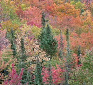 Indian summer Mauricie NP