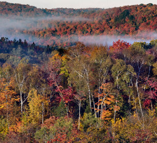Indian summer Mont Tremblent NP