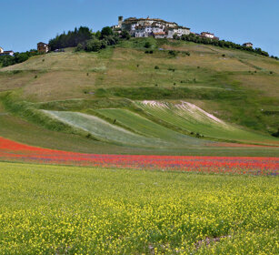 campagna, country Castelluccio di Norcia (Pg)