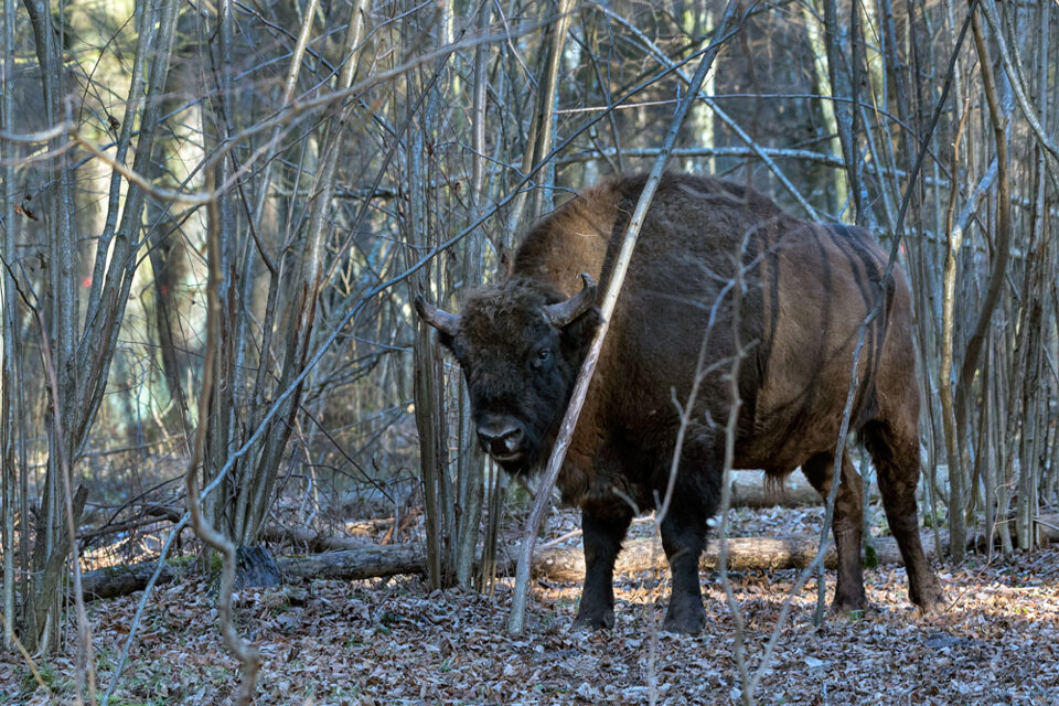 bfb9c53b-99d8-41da-b1cb-4d5ceecf6c0f