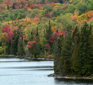 Along the river Mauricie NP