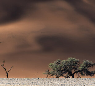 paesaggio, landscape Namib Naukluft NP