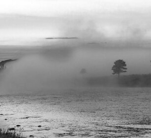 fiume Madison, Madison river, Yellowstone
