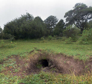 tana di Facocero, Wart-hog hole Dinsho forest