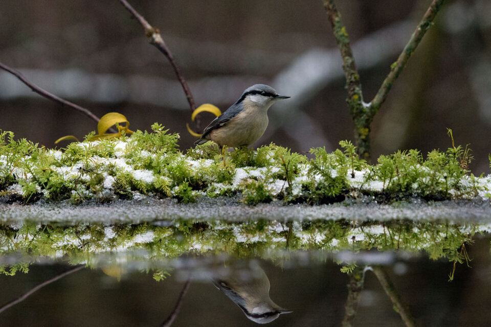 f860415f-92ff-42df-aa05-a8306b5d82a7