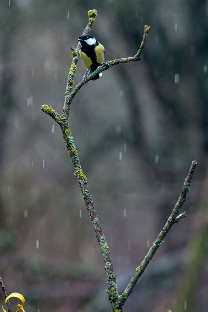 de103b42-79ad-4867-8856-66925afea5b8