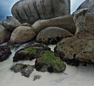 rocce, rocks Boulders Beach