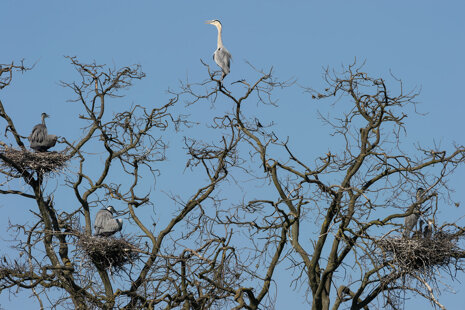 50687dc3-d4b1-4b66-b193-f4132b39e3c8