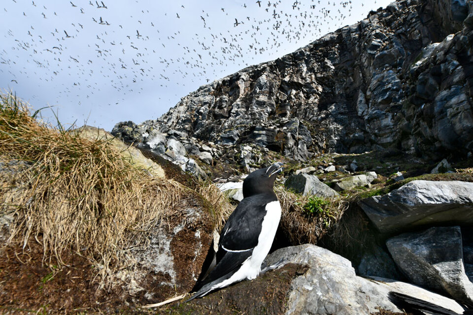 6a7de97f-a129-4db8-b14a-685f41020e5e 6a7de97f-a129-4db8-b14a-685f41020e5e