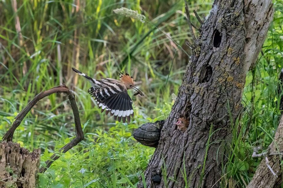 d4d51ce7-334f-443c-9287-3d3a54f9f198.jpeg d4d51ce7-334f-443c-9287-3d3a54f9f198.jpeg