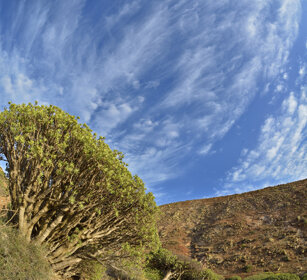 paesaggio, landscape Fuerteventura