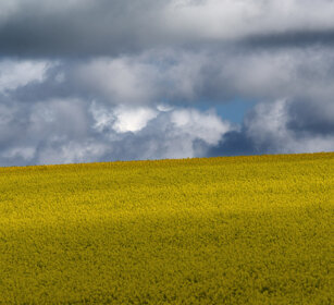 paesaggio, landscape
