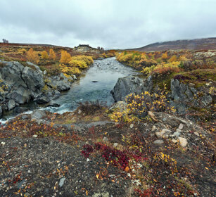 paesaggio, landscape parco nazionale di Dovrefjell, Dovrefjell NP