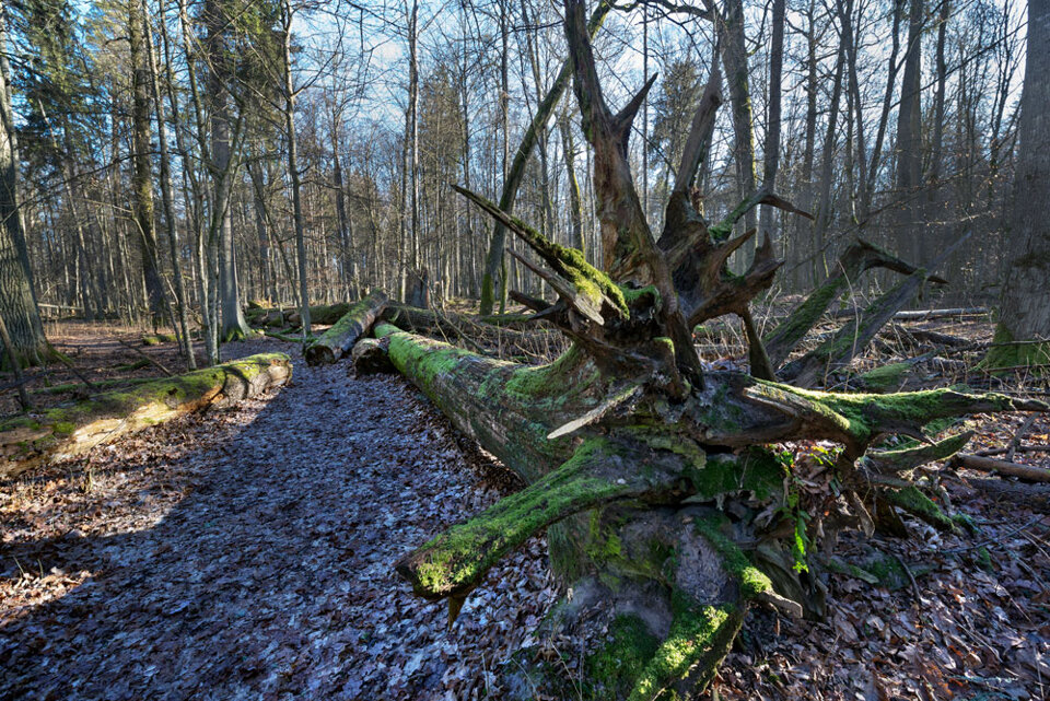 f57c6afc-7f1d-4c85-ac77-25e0be3858eb