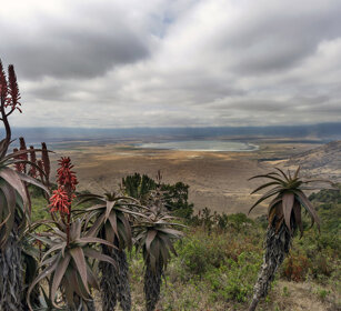 il cratere, the crater parco nazionale di Ngorongoro, Ngorongoro NP