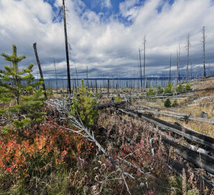 paesaggio, landscape PN di Yellowstone, Yellowstone NP