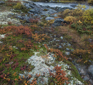 paesaggio, landscape parco nazionale di Dovrefjell, Dovrefjell NP