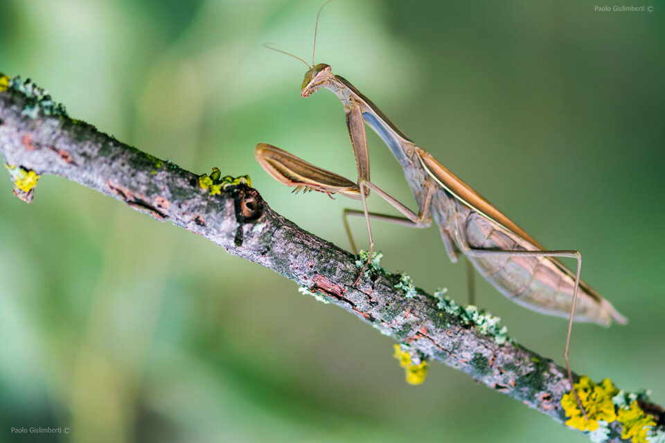 2bec5ca4-7561-4af5-9f24-f016a9962ded 2bec5ca4-7561-4af5-9f24-f016a9962ded