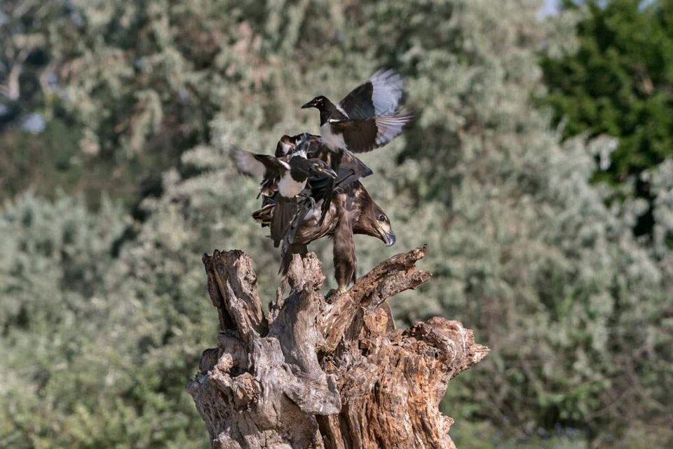 5945bc44-1db2-4941-b438-b68657782504.jpeg 5945bc44-1db2-4941-b438-b68657782504.jpeg