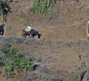 Quotidianità, everyday zona del Nilo Azzurro, Blue Nile range