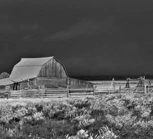 Mormon Row, Grand Teton