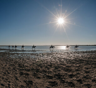 passeggiata a cavallo, riders, Camargue, Francia