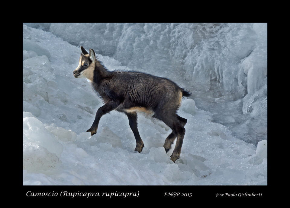 8b2bfaa7-1124-43d0-b313-71b4cbc99b27 8b2bfaa7-1124-43d0-b313-71b4cbc99b27