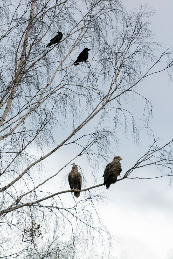 bc672527-ca6c-438d-b800-08571d393737