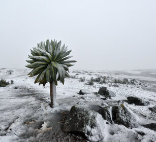 paesaggio, landscape Sanetti plateau