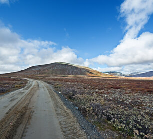 paesaggio, landscape parco nazionale di Dovrefjell, Dovrefjell NP