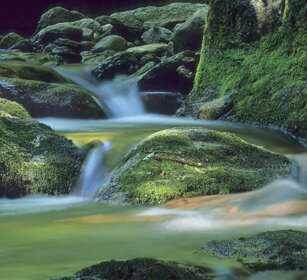 torrente, torrent Cantalupa (To)