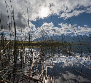 Talbot lake, Banff NP