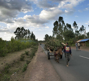 Quotidianità, everyday