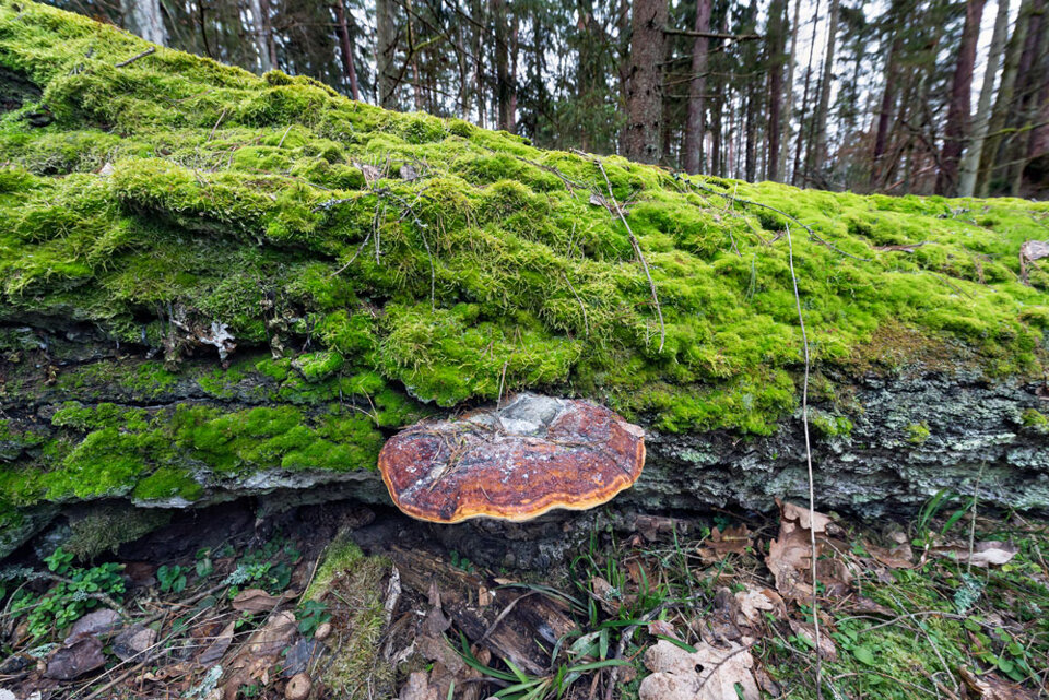 568a3cfe-2c7e-41d9-bd2b-fd6280ed3512